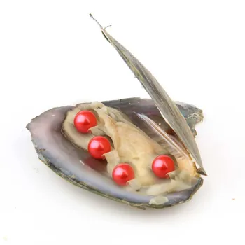 20 kom./lot 6-7 mm Slatkovodno oyster akoya s Четырехслойным biserima Mješoviti 27 cvijeća Visoke kvalitete Krug prirodni biseri u Vakuum Pakiranje