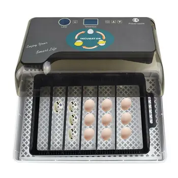 Inkubator za jaja, piletina цыплятины kontrolu temperature 12 цифров ХХД pun auto za hot-prodaja